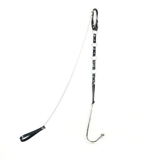 Leash Hook Collar and Kinky with EverydayUse 5853 Anal 0808